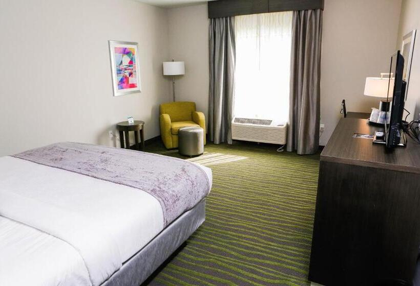 Номер Deluxe Кровать Кинг, Best Western Plus Prien Lake Hotel & Suites   Lake Charles