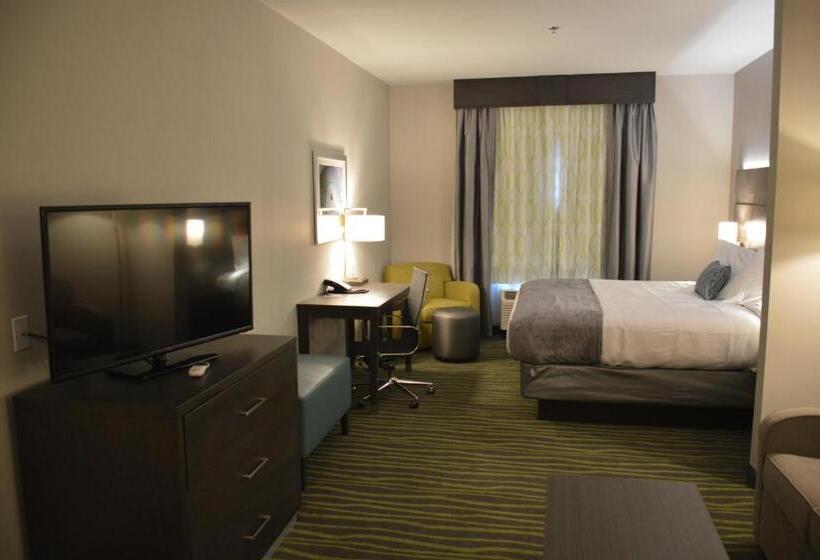 Люкс Адаптированный для Инвалидов, Best Western Plus Prien Lake Hotel & Suites   Lake Charles