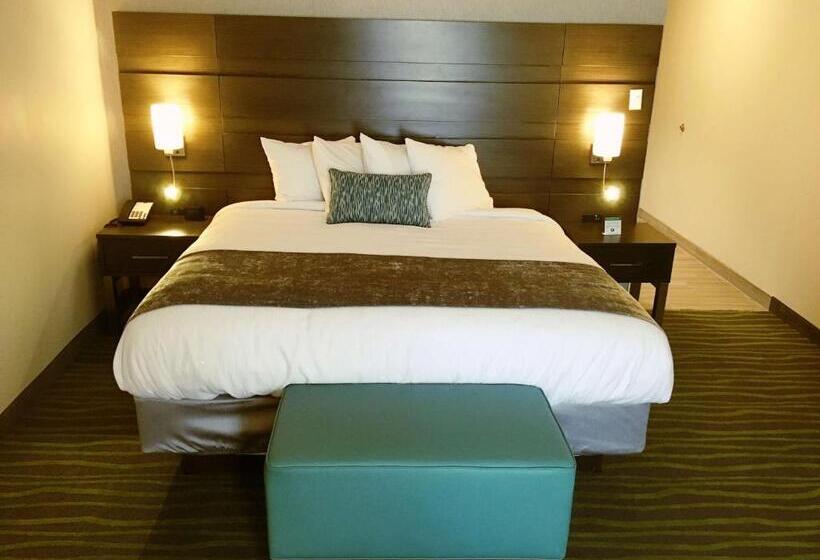 Стандартный Номер Кровать Кинг, Best Western Plus Prien Lake Hotel & Suites   Lake Charles