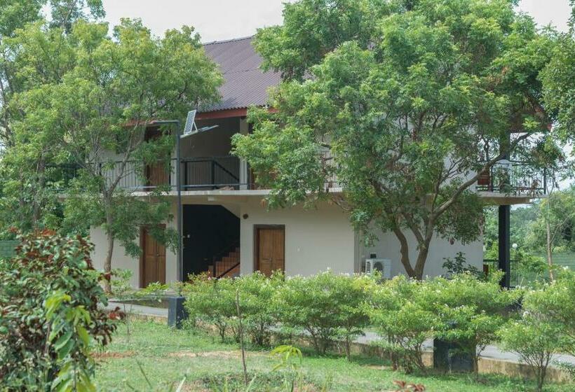 اتاق لوکس با تخت بزرگ, Nice Place Resort