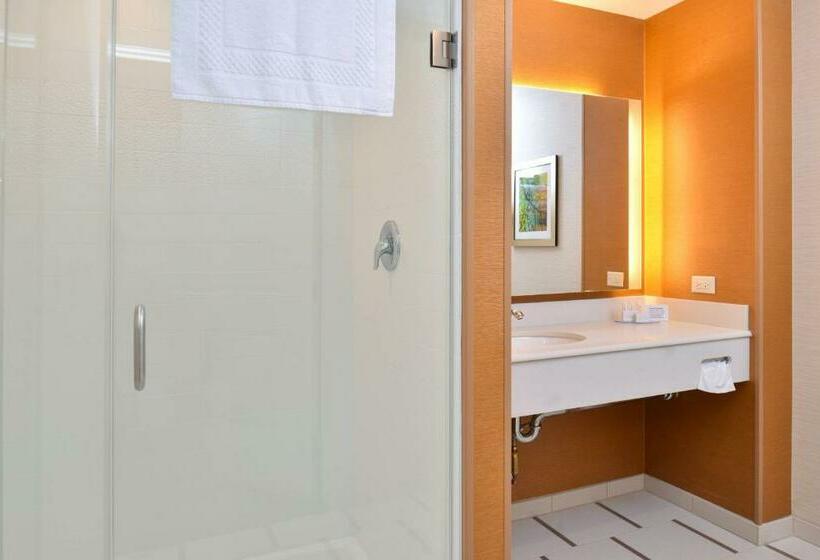 Стандартный Номер Кровать Кинг, Fairfield Inn & Suites By Marriott Sacramento Airport Woodland