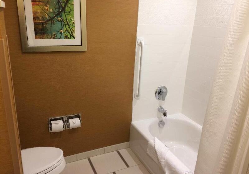 Стандартный Номер Кровать Кинг, Fairfield Inn & Suites By Marriott Sacramento Airport Woodland