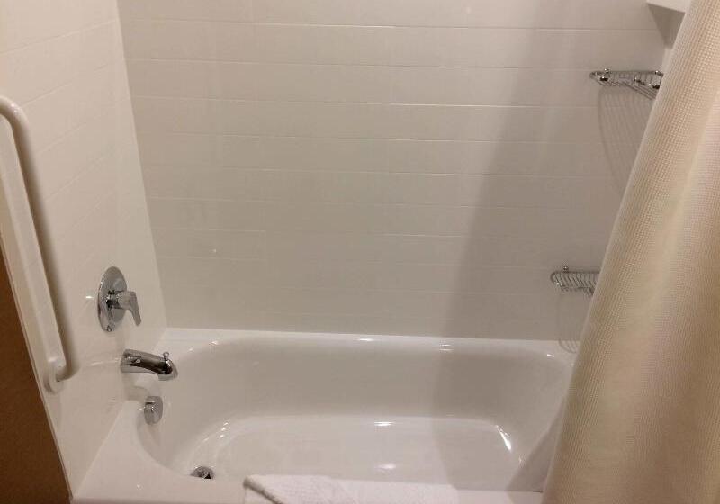 Люкс Кровать Кинг, Fairfield Inn & Suites By Marriott Sacramento Airport Woodland
