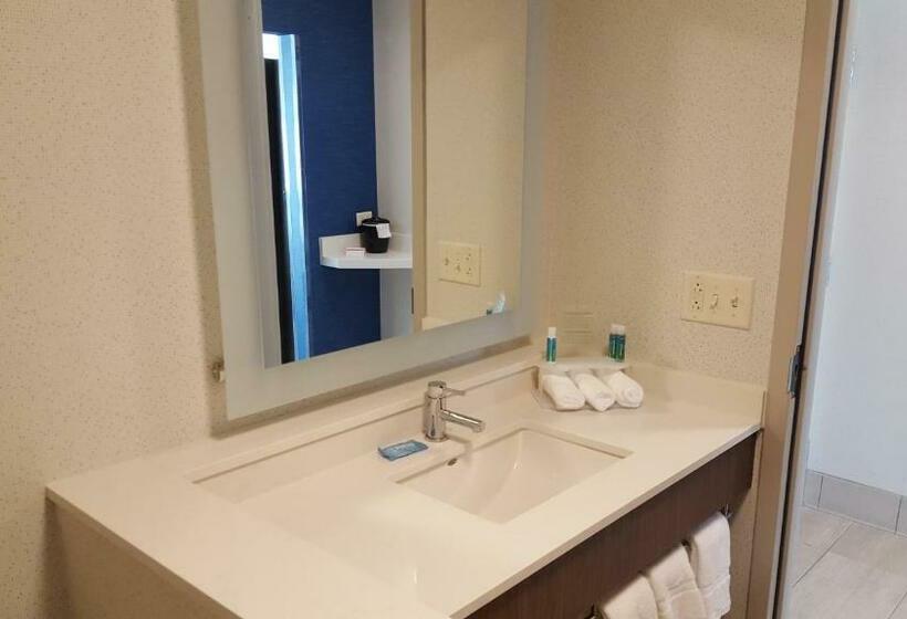 Номер Стандарт, Holiday Inn Express & Suites Oswego, An Ihg