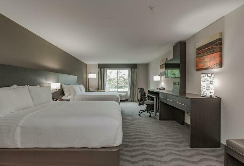 Номер Стандарт, Holiday Inn Mishawaka, An Ihg