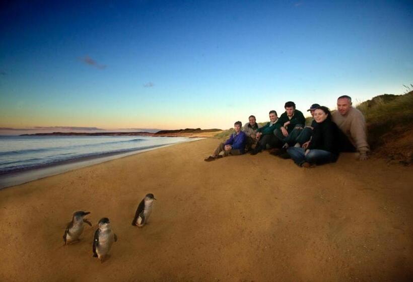Четырехместный Номер Стандарт, The Island Accommodation