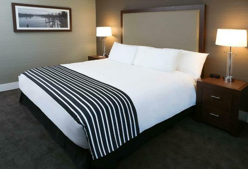 Стандартный Номер Кровать Кинг, Sandman Hotel Abbotsford Airport