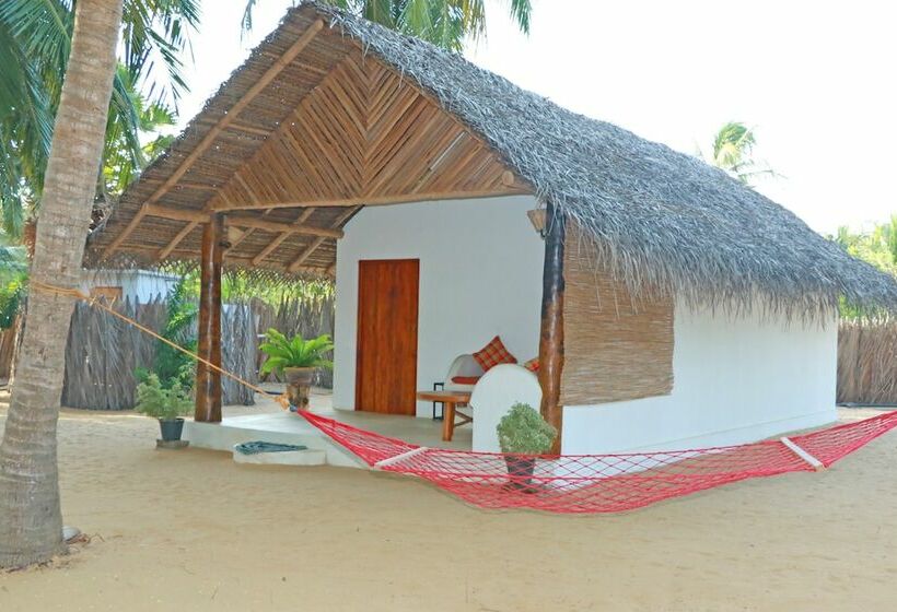 Номер Deluxe, Roshanne Beach Resort