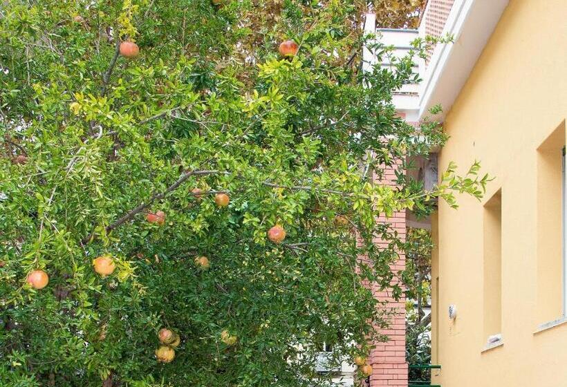 Номер Basic, Villa Anna B&b