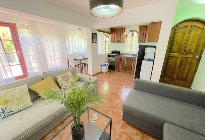 ویلای 1 خوابه با چشم‌انداز باغ, Oceanfront & Garden View Villas Hotel Wifi Bbq Parking Los Corales Beach Club & Spa