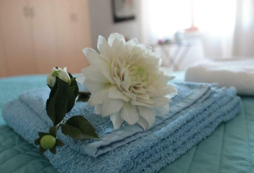 스탠다드 룸, B&b Cavalieri