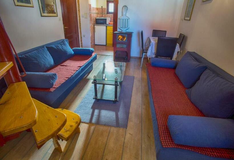 آپارتمان دوبلکس 1 خوابه, Guest House Jezera
