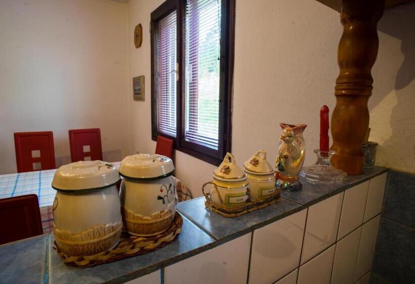 آپارتمان 1 خوابه همکف, Guest House Jezera