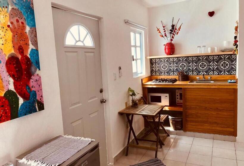 Estúdio standard Cama King, Casa Alberto Cozumel