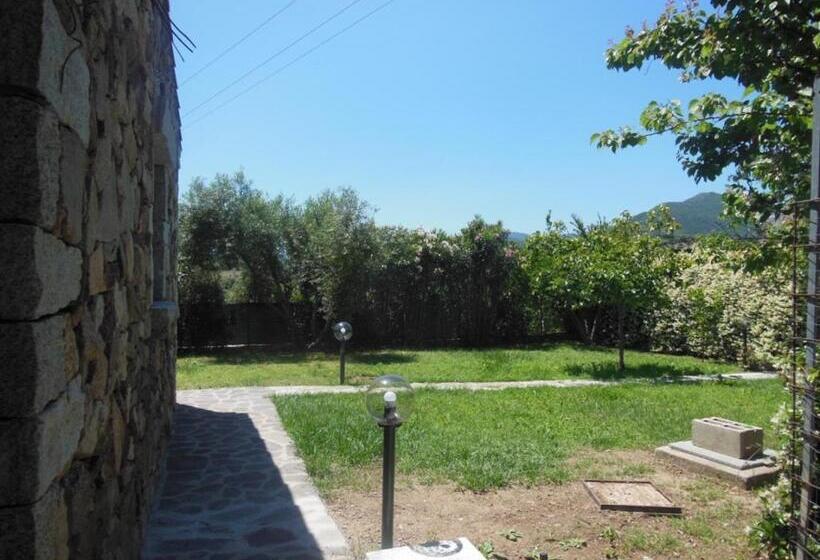 اتاق استاندارد با چشم‌انداز باغ, B&b Pettirosso Garden