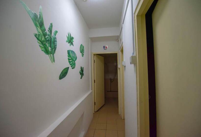 تختخواب در اتاق مشترک, Greendili Backpackers Hostel