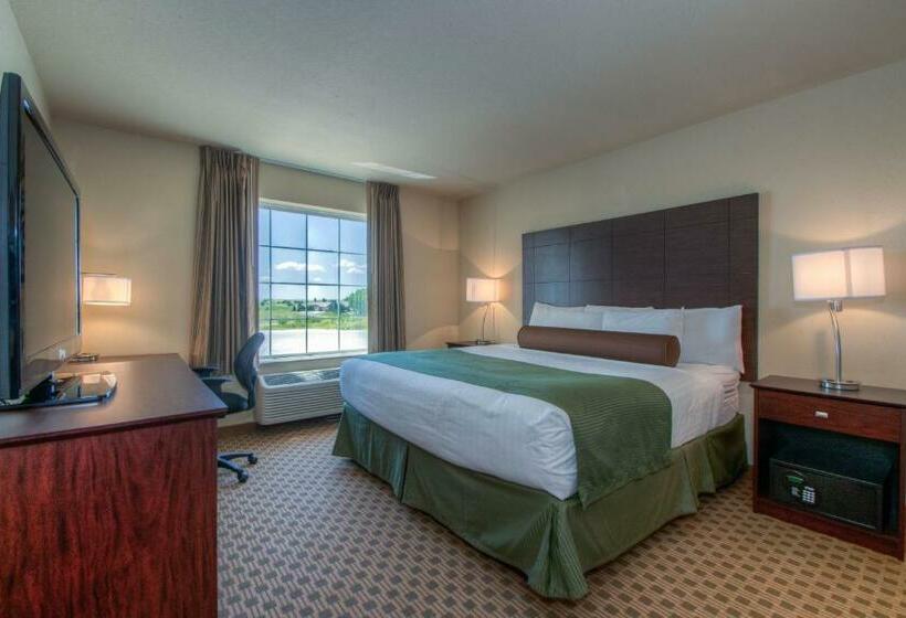 스탠다드 룸 킹사이즈 침대, Cobblestone Inn & Suites  Wray