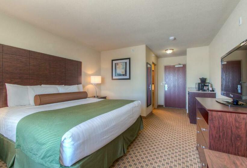 장애인을 위한 킹사이즈 침대 스탠다드 룸, Cobblestone Inn & Suites  Wray