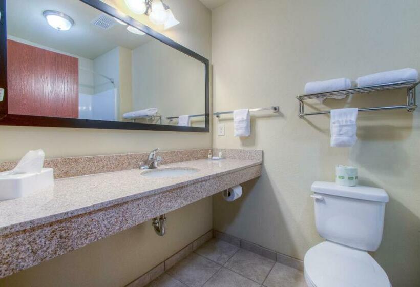 스탠다드 룸 킹사이즈 침대, Cobblestone Inn & Suites  Wray