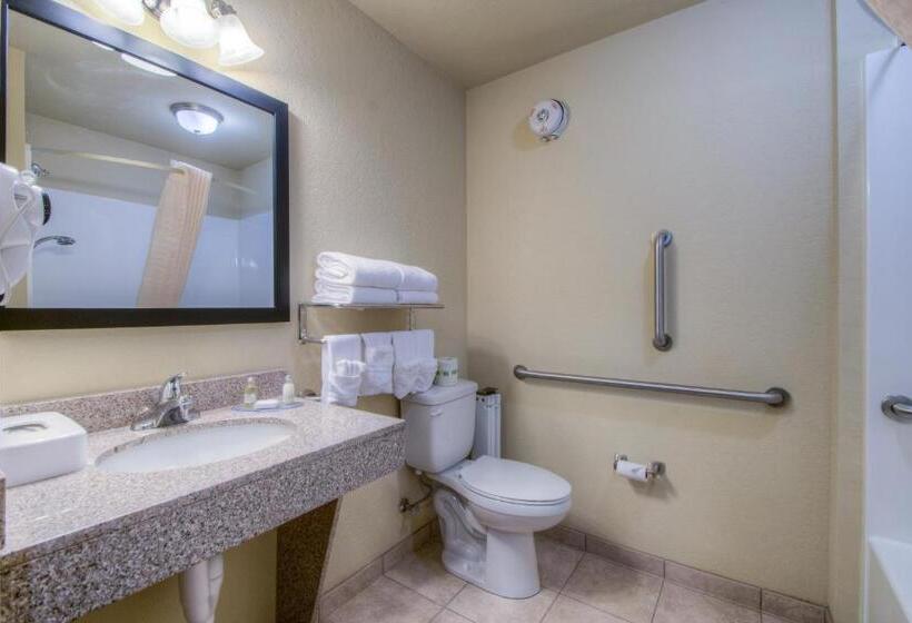 장애인을 위한 킹사이즈 침대 스탠다드 룸, Cobblestone Inn & Suites  Wray