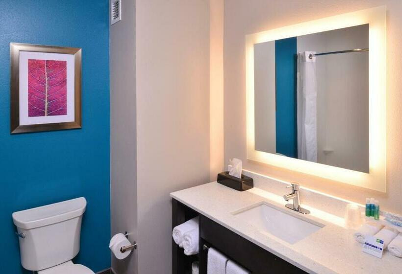 חדר סטנדרט, Holiday Inn Express And Suites Bryant   Benton Area, An Ihg