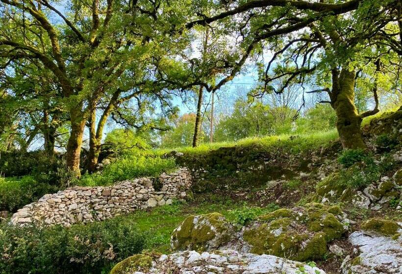Номер Superior, Le Domaine Quercus