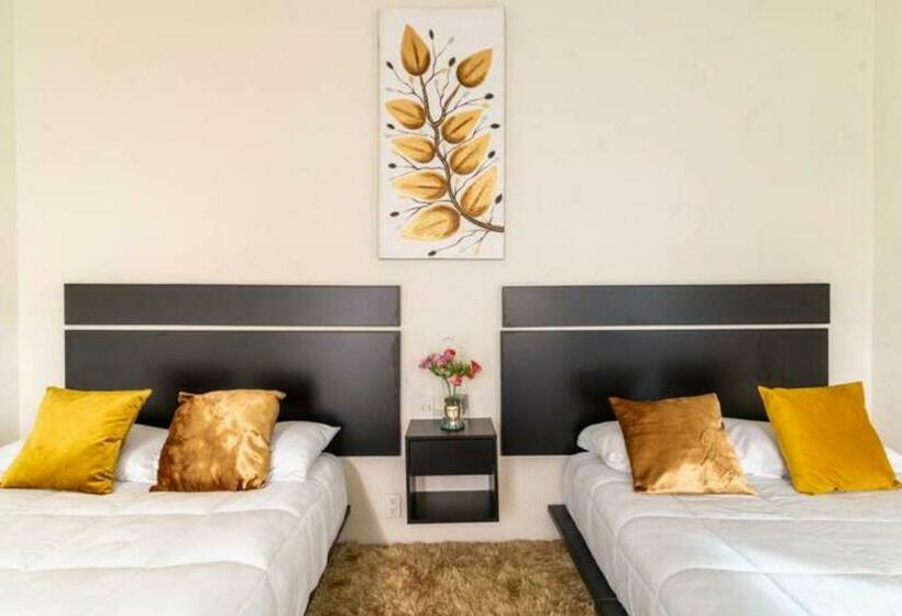 اتاق اکونومی, Fascina Inn