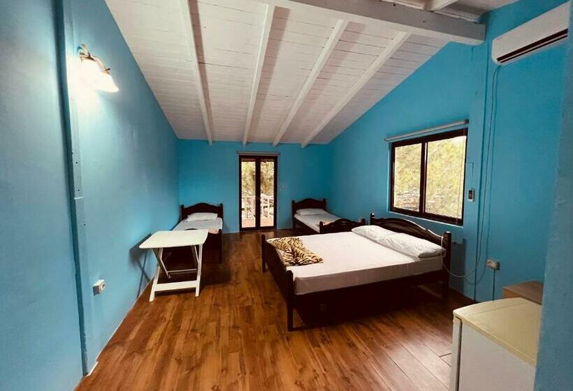 اتاق استاندارد چهار تخته, Favela Chic Room