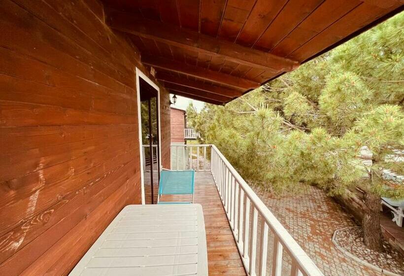 اتاق کلاسیک چهارنفره, Favela Chic Room
