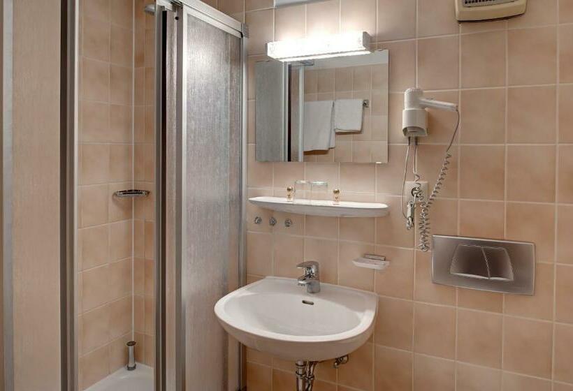 اتاق استاندارد یک نفره, Bsw Hotel Hubertus Park