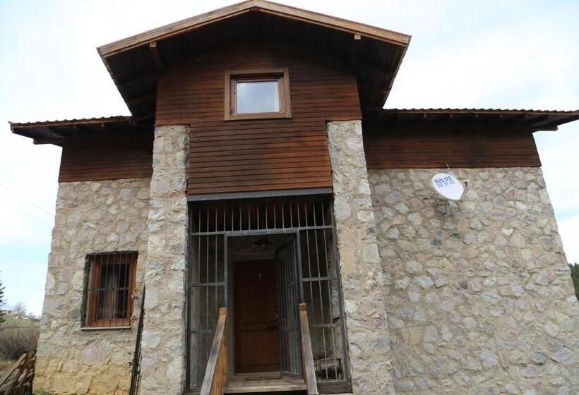 سوییت دوبلکس, çambaşı Armutalan Dağ Evleri