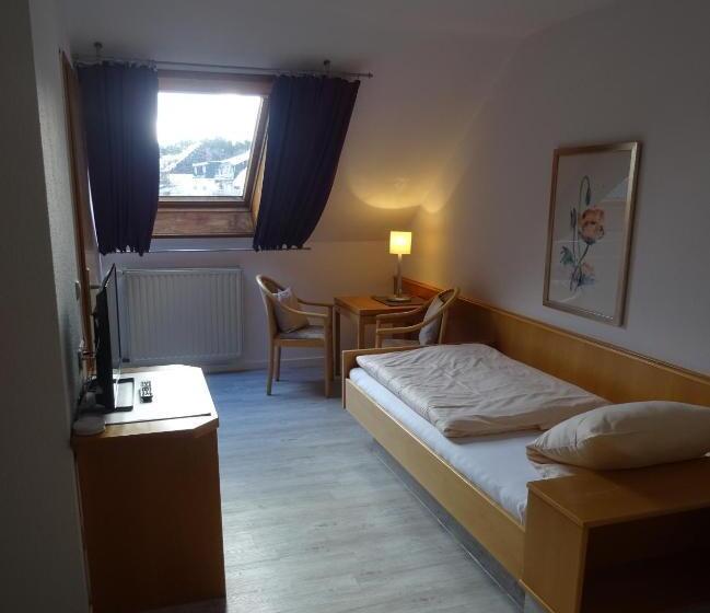 חדר סטנדרט, Aktiv Hotel Winterberg