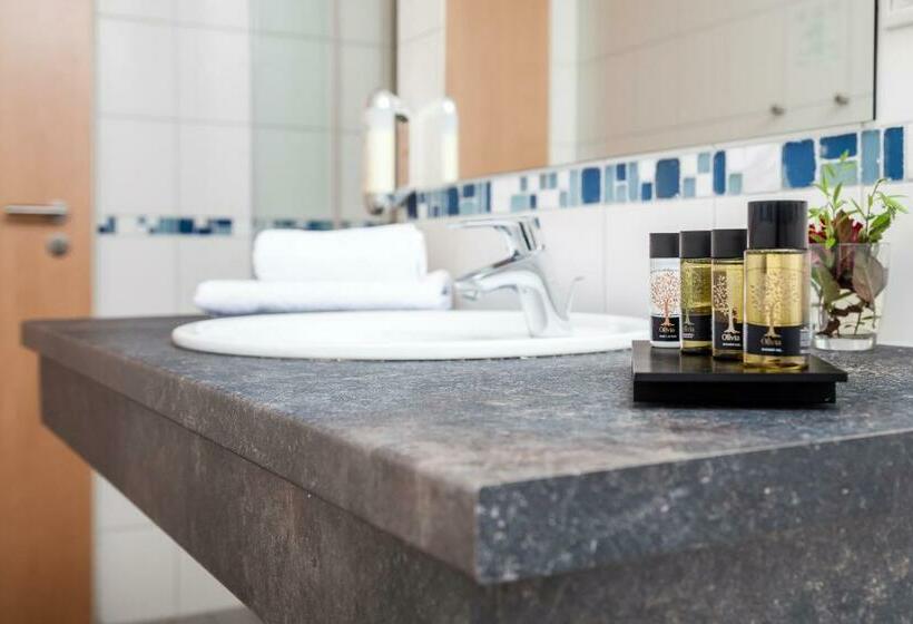 스탠다드 룸, Spa Hotel Amsee