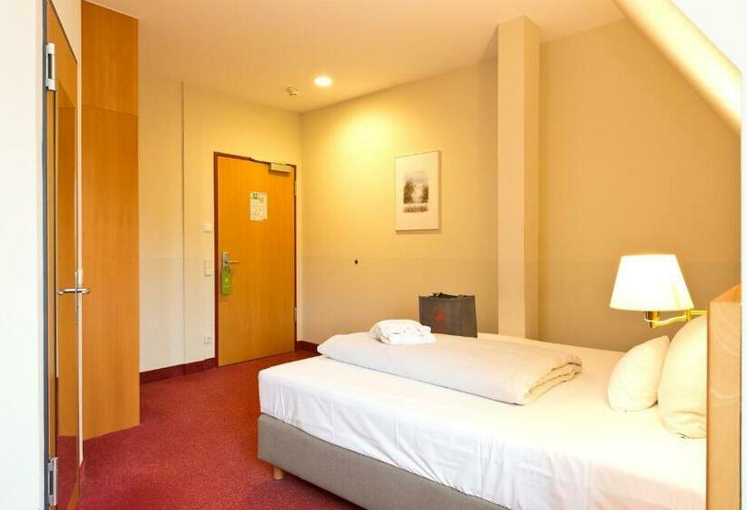 Номер Superior Одноместный, Spa Hotel Amsee