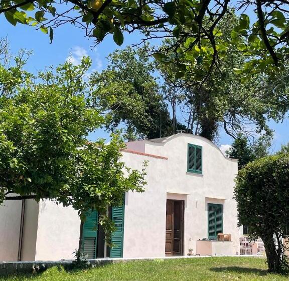 اتاق خانوادگی, Villa Morea & Rooms In Procida