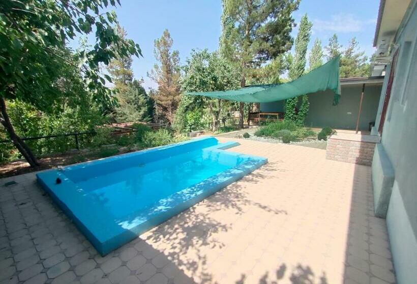 خانه 2 خوابه, Anor Sayyoh