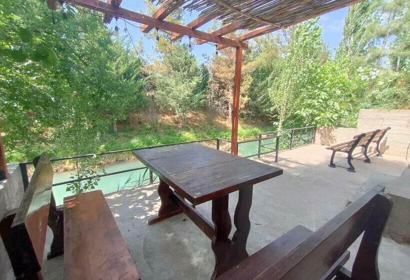 خانه 2 خوابه, Anor Sayyoh