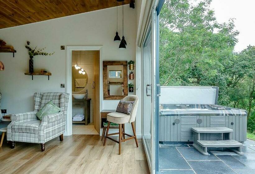 Дом 1 Спальня, Nantycoed Lodges