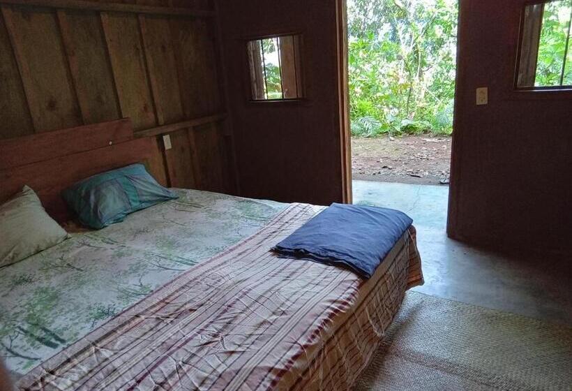 اتاق استاندارد اینتریور, Hostel Del Lago Yojoa Backpackers