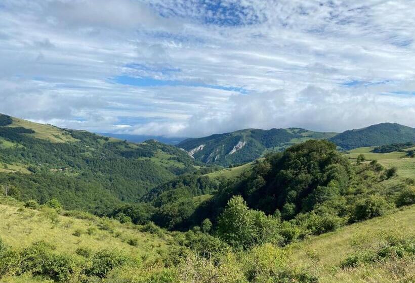 Дом 4 Спальни, Pensiunea Buna Ziua
