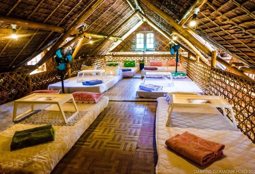 공동 객실, Darpins Guesthouse