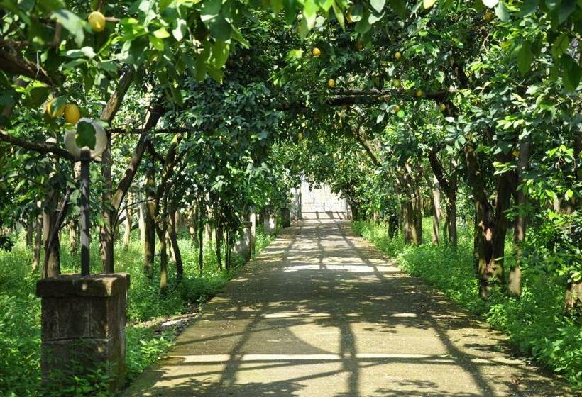 Стандартный Номер Кровать Кинг, Bed And Lemons