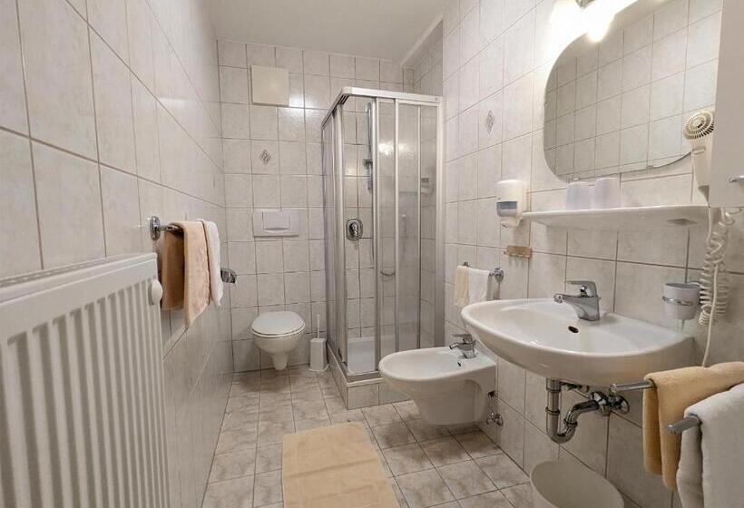 带1个卧室的公寓, Residence Töglhof