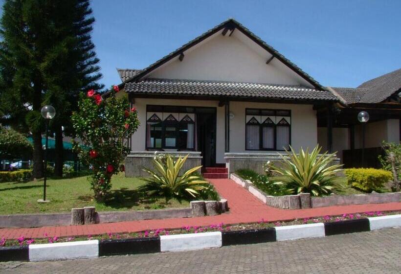 Family Suite, Sibayak Internasional