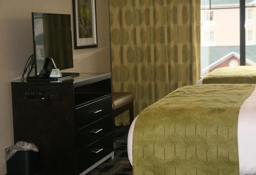 Люкс, Best Western Premier University Inn