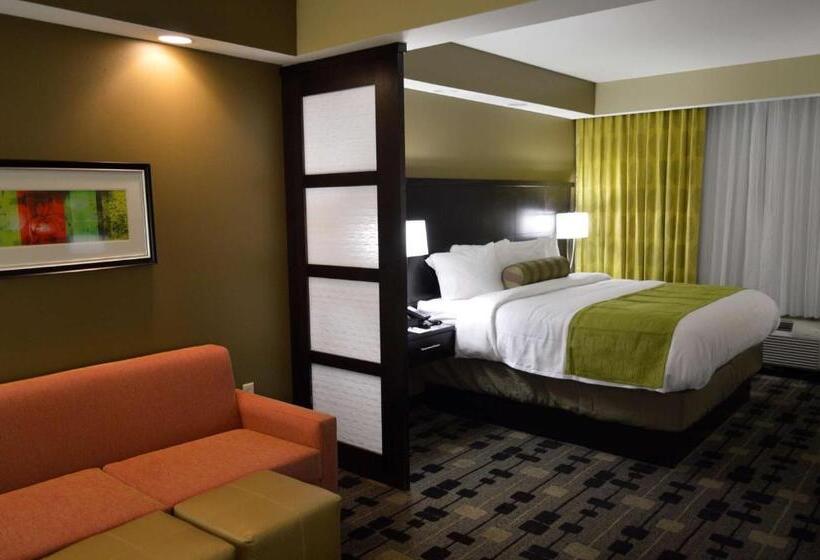 Люкс Кровать Кинг, Best Western Premier University Inn