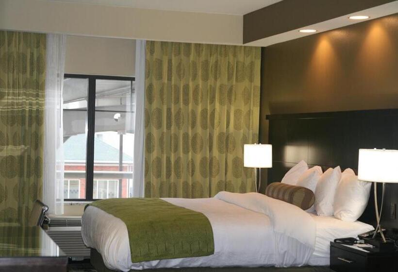 Номер Стандарт Кровать Кинг Адаптированный для Инвалидов, Best Western Premier University Inn