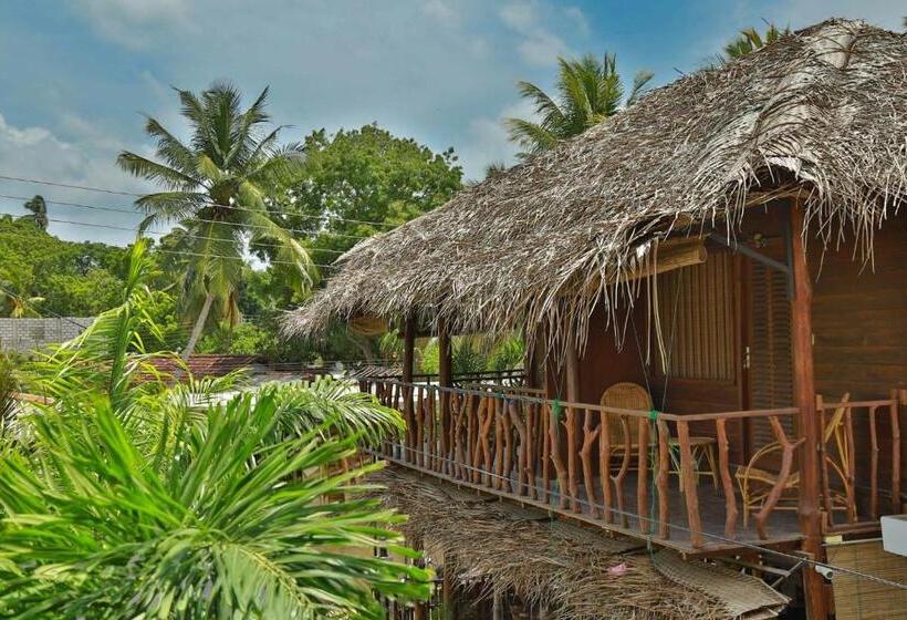 Шале 1 Спальня, Grand Conch Villa