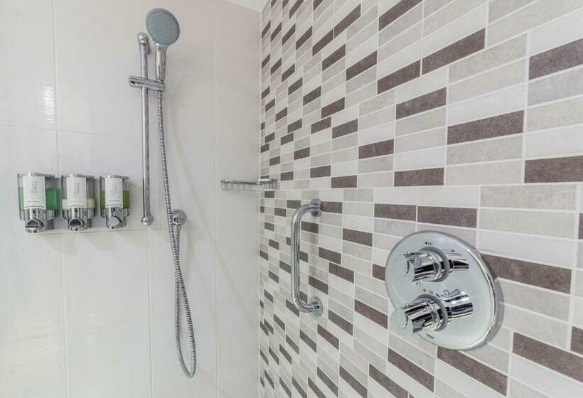 اتاق استاندارد با تخت بزرگ, Hampton By Hilton Iasi