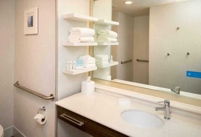 اتاق استاندارد با تخت بزرگ برای معلولان, Hampton Inn & Suites Olympia Lacey